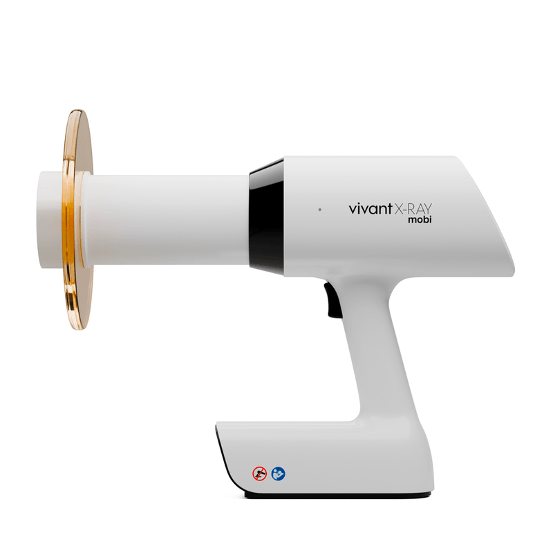 RaioXVivantXRaymobi